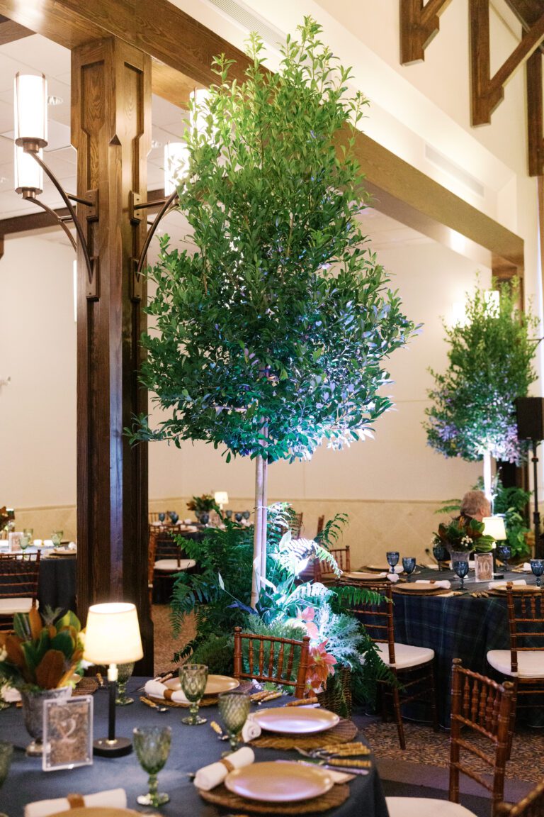 jge mission san luis 69 scaled